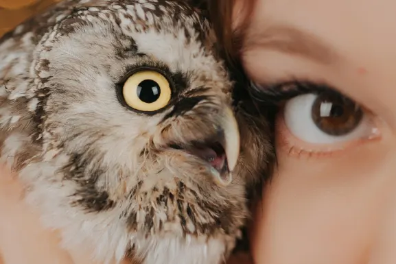 PlayHub Casino Support